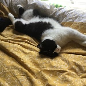 Meet your Posher, Sophie